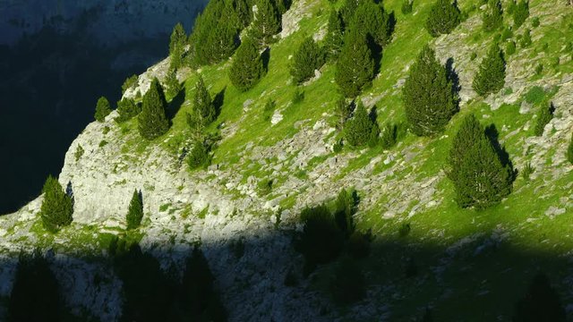 Ordesa y Monte Perdido National Park, Sobrarbe, Huesca Province, Aragon, Spain, Europe