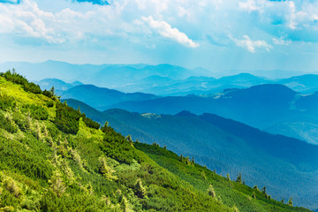 Obraz premium Summer Carpathian mountains in sunny day. Beautiful panorama nature backdrop with cloudy blue sky on background