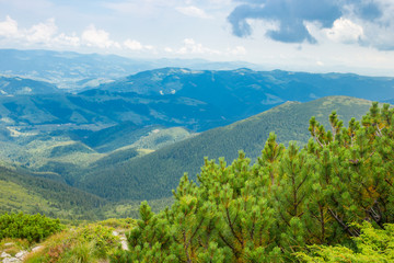Fototapeta na wymiar Carpathians in summer day. Mountains against the sunny blue sky with clouds on background