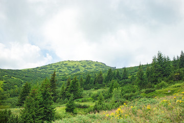 Mountains in Summer Time. Beautiful Natural Landscape