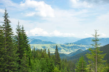 Mountains in Summer Time. Beautiful Natural Landscape