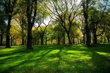 Beautiful park in Beautiful city..Beautiful Central Park in foliage season, New York City..
