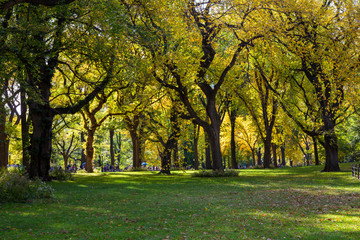 Beautiful park in Beautiful city..Beautiful Central Park in foliage season, New York City..