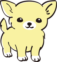 Obraz na płótnie Canvas チワワ　カラー　かわいい　子犬　人気　犬