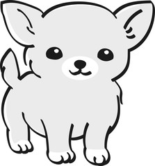 チワワ　モノクロ　かわいい　子犬　人気　犬