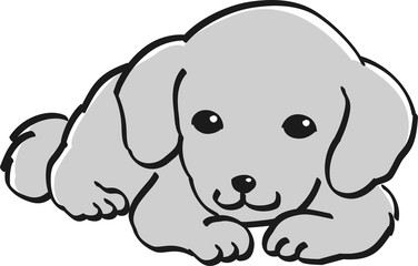 ダックスフント　モノクロ　かわいい　子犬　人気　犬