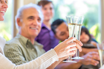 Family toasting champagne for the holidays select focus