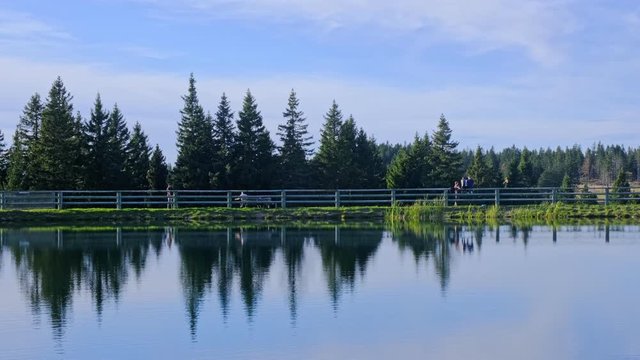 People walking on waterfront of a lake with beautiful reflection, serene and tranquil getaway, exploration of nature and wilderness