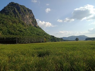 Fototapeta na wymiar landscape with green meadow and blue sky