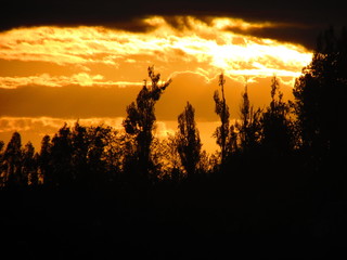 Paisaje de naturaleza. Atardecer en campo de Chile, Linares Maule,