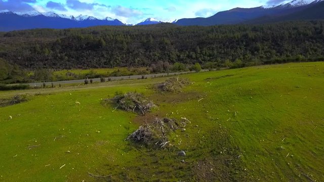 Aerial view: Flight over flock of sheep grazing in New Zealands rural hillside with mountain ridge in background