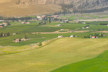 View of rural area , small houses , colourful field