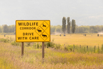 Waring wildlife corridor ahead : drive with care sign