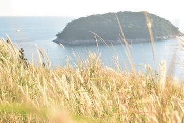 beautiful sunset twilight island and sea scenery background