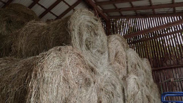 Hierba seca en pacas