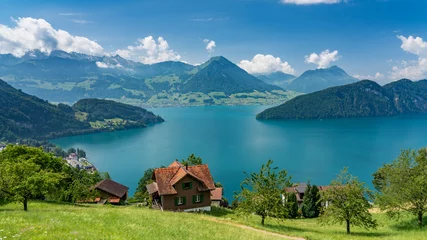 Fotobehang Zwitserland, Panoramisch uitzicht op de groene Alpen en het meer van Luzern in de buurt van Vitznau. © AlehAlisevich