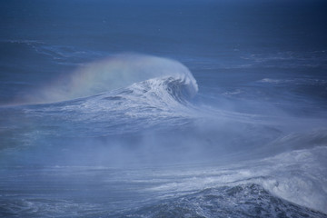 Fototapeta premium wave ocean surfing