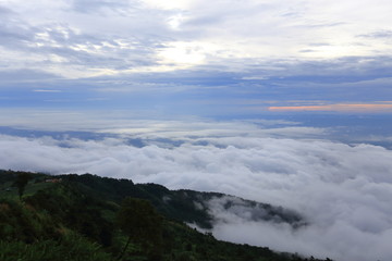 Fototapeta premium The fog at Phu Thap Berk Mountain in Phetchabun, Thailand