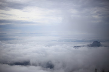 Naklejka na ściany i meble The fog at Phu Thap Berk Mountain in Phetchabun, Thailand