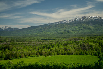 forest, river, village