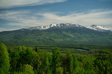 forest, river, village