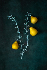 Still life with pear-shaped yellow decorative pumpkins on a white twig