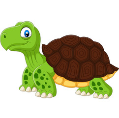 Obraz premium Cartoon funny turtle isolated on white background