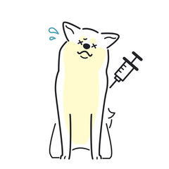 注射　犬　嫌がる　秋田犬