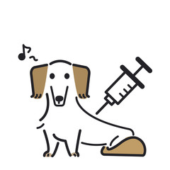 注射　犬　痛くない　ミニチュアダックスフンド