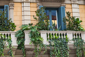 House in Barcelona