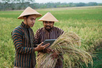 two traditional farmer using tablet with smart technology farming in the field