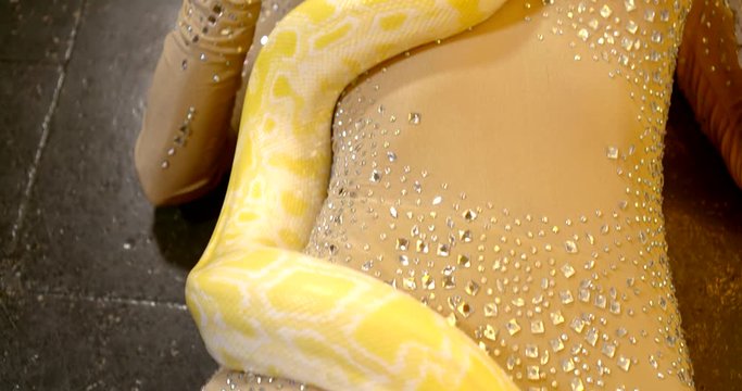 close-up of a snake on a female body. the girl is dressed in a gold jumpsuit with rhinestones. a woman's face is half hidden by a gold ornament. camera movement from hips up