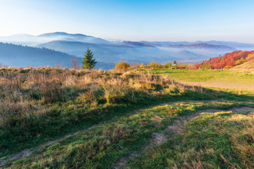 beautiful countryside in the morning. path through meadow in weathered grass. trees on the hills in colorful foliage. distant mountains in fog rising above the valley. blue cloudless sky
