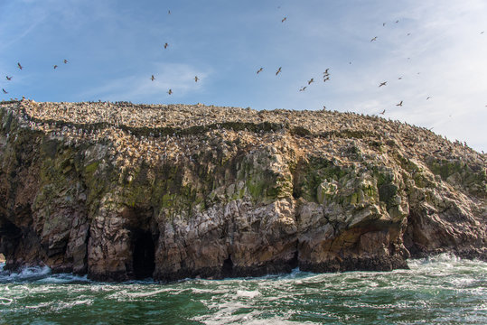 Paracas National Reserve in Peru