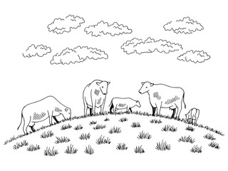 Cows feeding grass on the hill graphic black white sketch illustration vector