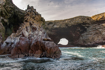 Fototapeta premium Ballestas Islands in the Pacific Ocean (National Reserve Paracas, Peru)
