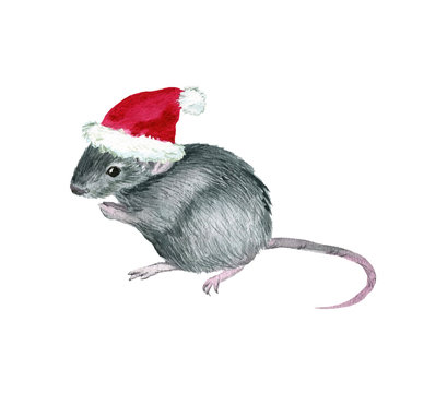 Mouse symbol of the year 2020, watercolor illustration, hand-drawn. Isolated image on a white background. For your projects, invitations, cards, patterns, posters and more.