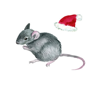 Mouse symbol of the year 2020, watercolor illustration, hand-drawn. Isolated image on a white background. For your projects, invitations, cards, patterns, posters and more.