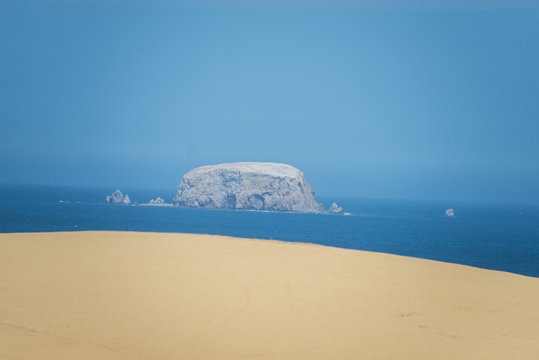National Reserve Paracas in Peru