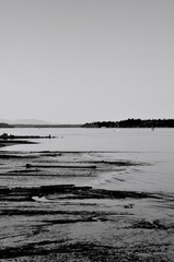 Tides in Puget Sound