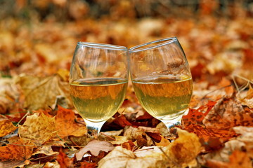 Pair of glass wine glasses with white wine drink between autumn fallen leaves with reflection of landscape in liquid on yellow blurred background. Horizontal frame, bokeh effect, selective focus