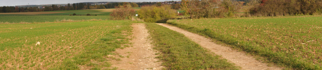 single lane gravel path leading through rural landscape