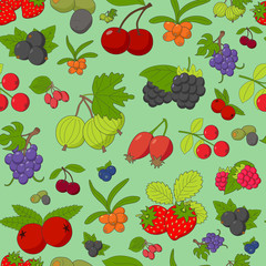 Berry background - Vector color seamless pattern of strawberry, raspberry, cherry, blueberry, cloudberry, dogrose and cranberry for graphic design