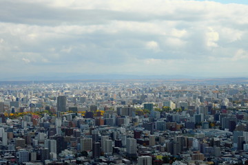 円山頂上からの景色