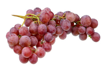 A real  large bunch and heap of sweet red  Isabella grapes isolated