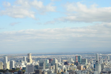 Fototapeta na wymiar 円山頂上からの風景