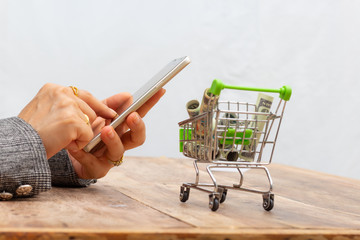 Women holding smart phone and money bank in the shopping cart on the table,