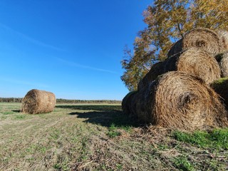 bales of hay © Krystian