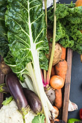 Assortment of fresh vegetables. Healthy organic food concept