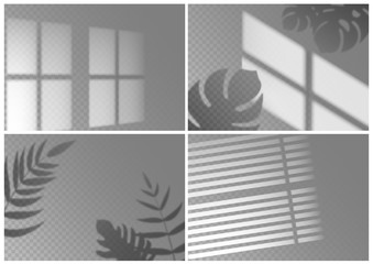 Realistic shadow overlay. Window light with shadow texture of tropical plant leaves on isolated background. Vector shade overlay mockups